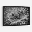 Tortuga estrenando el mundo | Cuadro decorativo de Canvas Lab