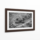 Tortuga estrenando el mundo | Cuadro decorativo de Canvas Lab