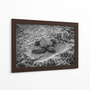 Tortuga estrenando el mundo | Cuadro decorativo de Canvas Lab