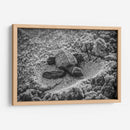 Tortuga estrenando el mundo | Cuadro decorativo de Canvas Lab