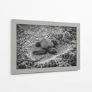 Tortuga estrenando el mundo | Cuadro decorativo de Canvas Lab