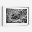 Tortuga estrenando el mundo | Cuadro decorativo de Canvas Lab