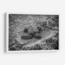 Tortuga estrenando el mundo | Cuadro decorativo de Canvas Lab