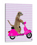 Meerkat En Rosa Ciclomotor - Fab Funky | Cuadro decorativo de Canvas Lab