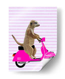 Meerkat En Rosa Ciclomotor - Fab Funky | Cuadro decorativo de Canvas Lab