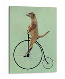 Meerkat En Penny Negro Farthing - Fab Funky | Cuadro decorativo de Canvas Lab