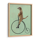 Meerkat En Penny Negro Farthing - Fab Funky | Cuadro decorativo de Canvas Lab
