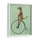 Meerkat En Penny Negro Farthing - Fab Funky | Cuadro decorativo de Canvas Lab