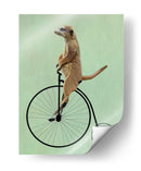 Meerkat En Penny Negro Farthing - Fab Funky | Cuadro decorativo de Canvas Lab