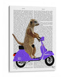 Meerkat En Lila Ciclomotor - Fab Funky | Cuadro decorativo de Canvas Lab