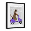 Meerkat En Lila Ciclomotor - Fab Funky | Cuadro decorativo de Canvas Lab