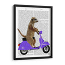 Meerkat En Lila Ciclomotor - Fab Funky | Cuadro decorativo de Canvas Lab