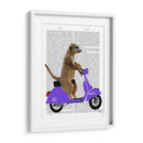 Meerkat En Lila Ciclomotor - Fab Funky | Cuadro decorativo de Canvas Lab