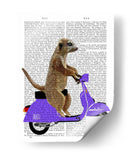 Meerkat En Lila Ciclomotor - Fab Funky | Cuadro decorativo de Canvas Lab
