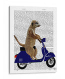 Meerkat En Azul Oscuro Ciclomotor - Fab Funky | Cuadro decorativo de Canvas Lab