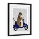 Meerkat En Azul Oscuro Ciclomotor - Fab Funky | Cuadro decorativo de Canvas Lab
