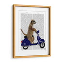 Meerkat En Azul Oscuro Ciclomotor - Fab Funky | Cuadro decorativo de Canvas Lab
