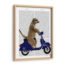 Meerkat En Azul Oscuro Ciclomotor - Fab Funky | Cuadro decorativo de Canvas Lab