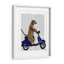 Meerkat En Azul Oscuro Ciclomotor - Fab Funky | Cuadro decorativo de Canvas Lab