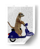 Meerkat En Azul Oscuro Ciclomotor - Fab Funky | Cuadro decorativo de Canvas Lab