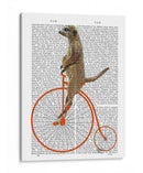 Meerkat En Penny Orange Farthing - Fab Funky | Cuadro decorativo de Canvas Lab