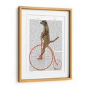Meerkat En Penny Orange Farthing - Fab Funky | Cuadro decorativo de Canvas Lab