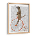 Meerkat En Penny Orange Farthing - Fab Funky | Cuadro decorativo de Canvas Lab