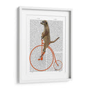 Meerkat En Penny Orange Farthing - Fab Funky | Cuadro decorativo de Canvas Lab
