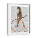 Meerkat En Penny Orange Farthing - Fab Funky | Cuadro decorativo de Canvas Lab