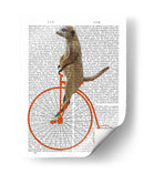 Meerkat En Penny Orange Farthing - Fab Funky | Cuadro decorativo de Canvas Lab