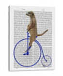 Meerkat En Penny Blue Farthing - Fab Funky | Cuadro decorativo de Canvas Lab