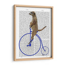 Meerkat En Penny Blue Farthing - Fab Funky | Cuadro decorativo de Canvas Lab