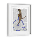 Meerkat En Penny Blue Farthing - Fab Funky | Cuadro decorativo de Canvas Lab