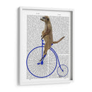 Meerkat En Penny Blue Farthing - Fab Funky | Cuadro decorativo de Canvas Lab