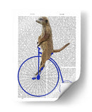 Meerkat En Penny Blue Farthing - Fab Funky | Cuadro decorativo de Canvas Lab