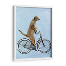 Meerkat En Bicicleta - Fab Funky | Cuadro decorativo de Canvas Lab