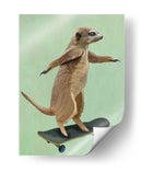 Meerkat En El Monopatín - Fab Funky | Cuadro decorativo de Canvas Lab
