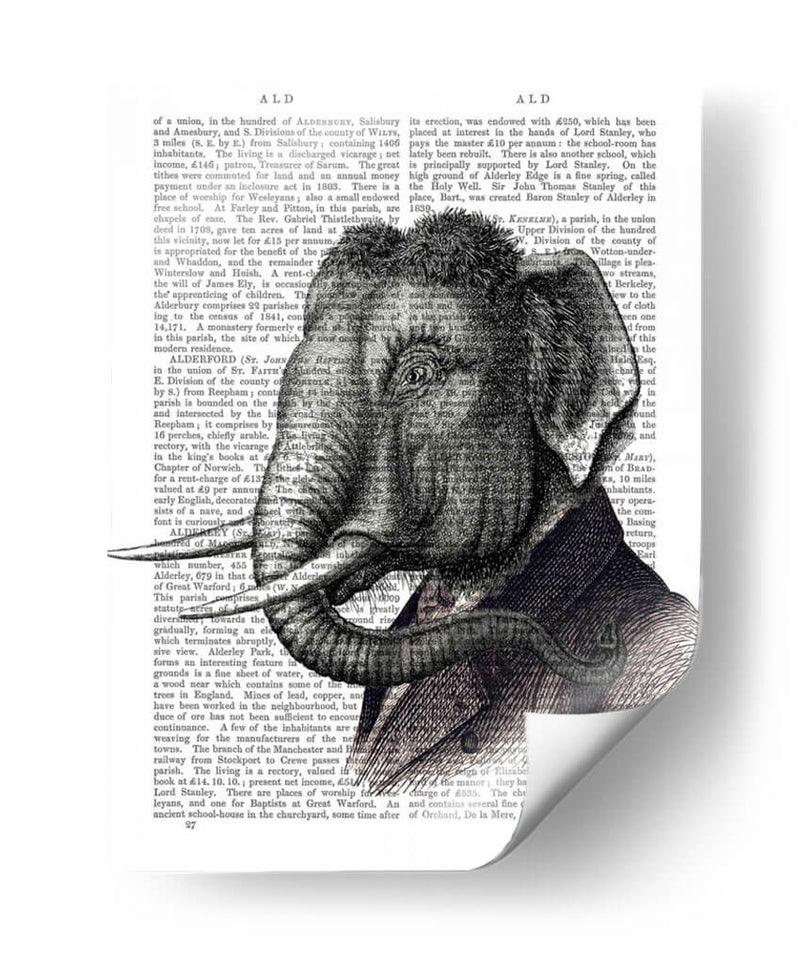 Retrato De Elefante - Fab Funky | Cuadro decorativo de Canvas Lab