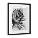 Ovejas De Bighorn En Traje - Fab Funky | Cuadro decorativo de Canvas Lab