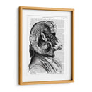 Ovejas De Bighorn En Traje - Fab Funky | Cuadro decorativo de Canvas Lab