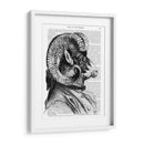 Ovejas De Bighorn En Traje - Fab Funky | Cuadro decorativo de Canvas Lab