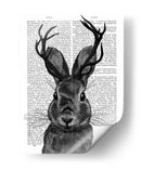Jackalope Con Astas Grises - Fab Funky | Cuadro decorativo de Canvas Lab