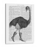 Avestruz En Botas - Fab Funky | Cuadro decorativo de Canvas Lab