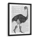 Avestruz En Botas - Fab Funky | Cuadro decorativo de Canvas Lab