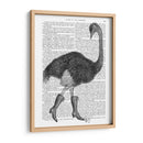 Avestruz En Botas - Fab Funky | Cuadro decorativo de Canvas Lab