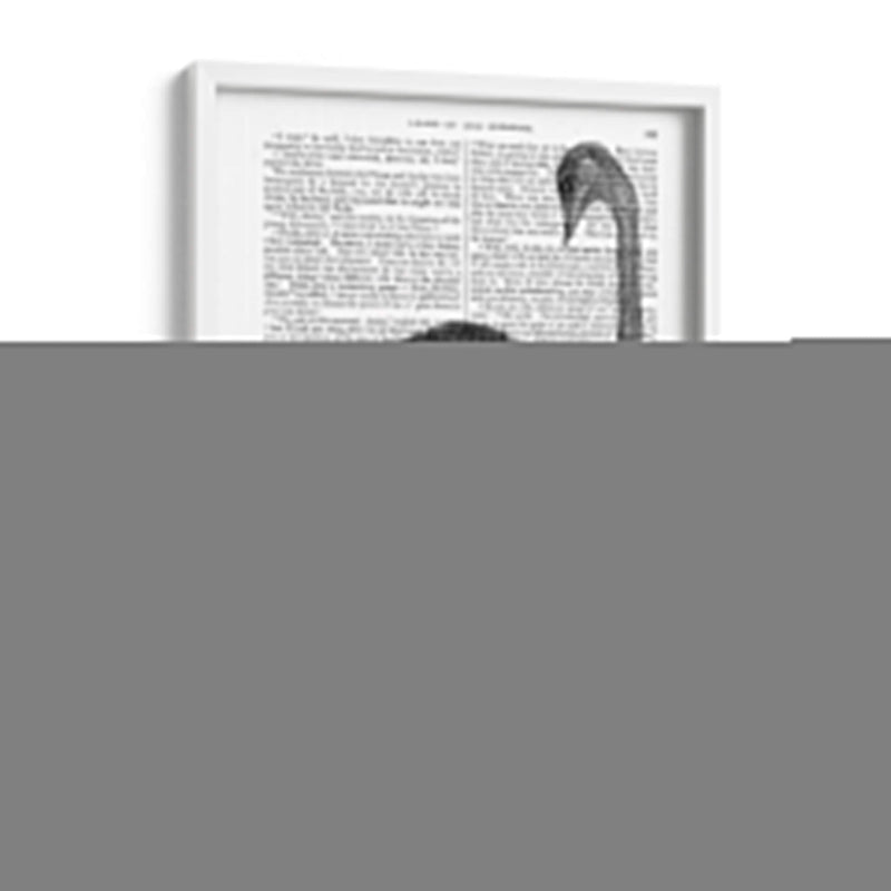 Avestruz En Botas - Fab Funky | Cuadro decorativo de Canvas Lab