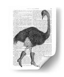 Avestruz En Botas - Fab Funky | Cuadro decorativo de Canvas Lab