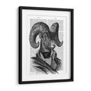 Retrato De La Cabra De Montaña - Fab Funky | Cuadro decorativo de Canvas Lab