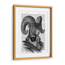 Retrato De La Cabra De Montaña - Fab Funky | Cuadro decorativo de Canvas Lab