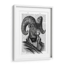 Retrato De La Cabra De Montaña - Fab Funky | Cuadro decorativo de Canvas Lab